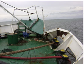 Vessel damage survey